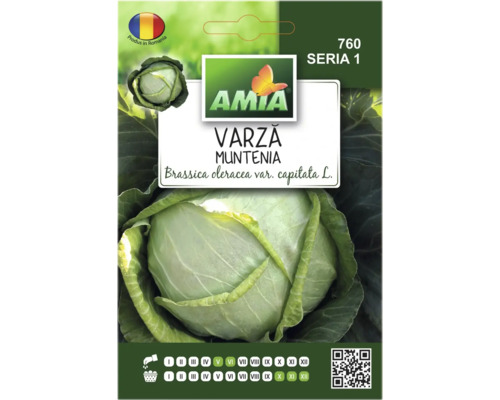 Semințe legume Amia varză Muntenia