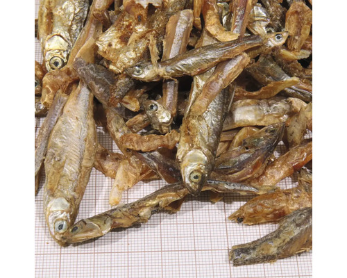 Prim-plan cu pești uscați