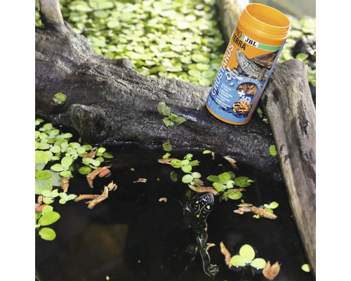 Hrană JBL ProTerra Crustarus pentru țestoase de apă pe un trunchi de copac lângă un iaz