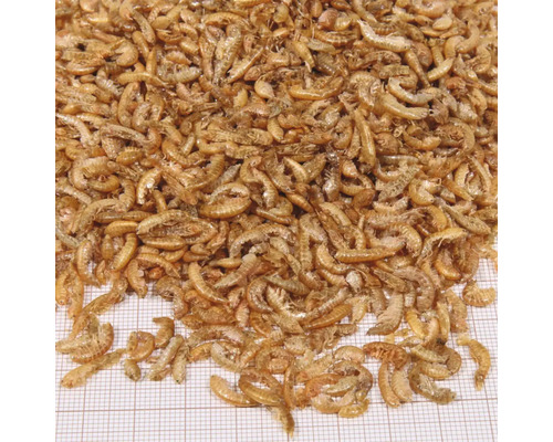 Gammarus uscat ca hrană pentru pești