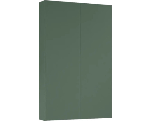 Dulap baie suspendat Jungborn, 2 polițe de sticlă, PAL, 50x80 cm, verde mat