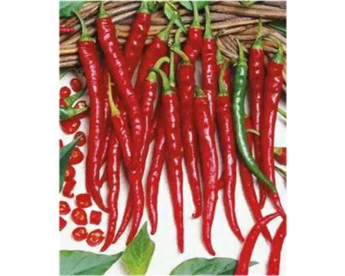 Ardei iuți roșii așezați pe o masă