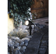 Iluminare potecă de grădină cu un singur spot între plante și pietre