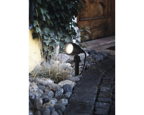 Iluminare potecă de grădină cu un singur spot între plante și pietre