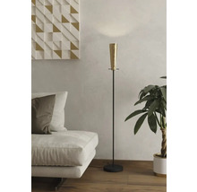 Fotografie de interior a unui living cu lampadar, canapea și plantă de interior