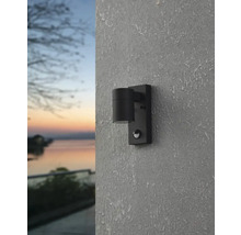 Lumină de perete exterioară neagră cu senzor de mișcare montată pe un perete.