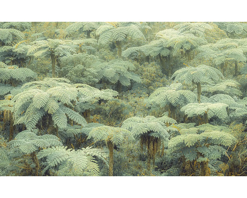 Fototapet vlies PSH106-VD4 Jungle Lands 400x250 cm