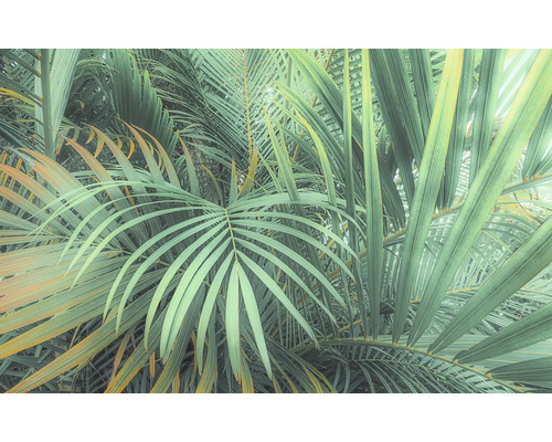 Fototapet vlies PSH107-VD4 Foggy Fern 400x250 cm