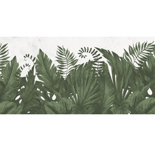 Ilustrație cu plante tropicale, inclusiv ferigi și frunze de bananier