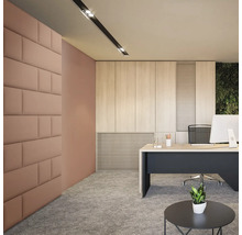 Birou modern cu panouri acustice pe perete, birou și mobilier de birou