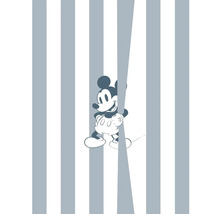 Tapet cu dungi și motiv Mickey Mouse