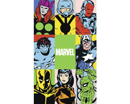 Fototapet vlies DX3-151 Into Wonderland Marvel PowerUp 150x250 cm