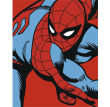 Ilustrație a personajului de benzi desenate Spider-Man