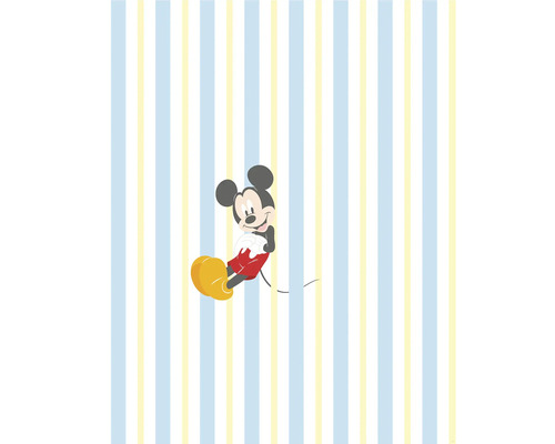 Fototapet vlies DX4-163 Into Wonderland Mickey Relax 200x250 cm