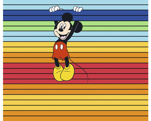 Fototapet vlies DX6-162 Into Wonderland Mickey Magic Rainbow 300x250 cm