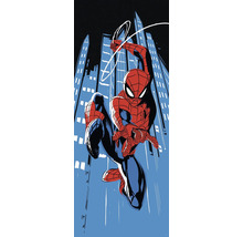 Ilustrație cu Spider-Man în fața unui orizont