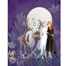 Fototapet vlies IADX4-092 Into Wonderland Frozen Full 200x250 cm