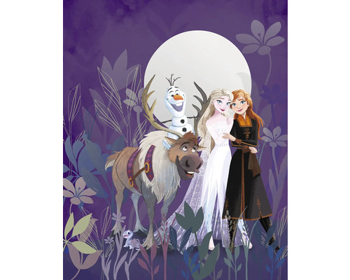 Fototapet vlies IADX4-092 Into Wonderland Frozen Full 200x250 cm