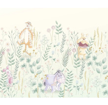 Fototapet vlies IADX6-104 Into Wonderland Winnie Pooh 300x250 cm