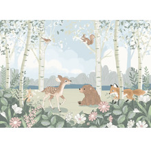 Fototapet vlies IAX7-0055 Into Wonderland Today's Story 350x250 cm