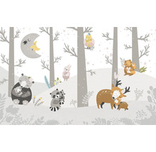 Ilustrație a unei păduri cu animale și o lună