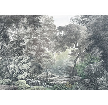 Fototapet vlies IAX8-0063 Into Wonderland Wood Wide Web 400x280 cm