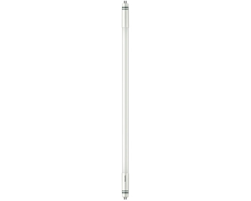 Neon Philips G5 T5 7,7W 1050 lumeni 600mm lumină neutră | HORNBACH