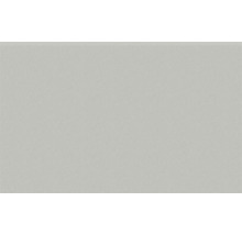 Faianță de perete gri