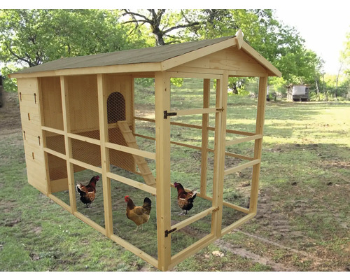 Coteț de găini din lemn cu găini afară