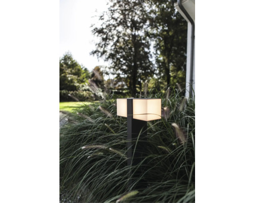 Lumină de grădină iluminată între ierburi ornamentale în fața unei case