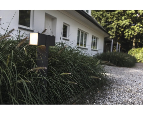 Scenă cu un corp de iluminat cubic metalic lângă iarbă ornamentală în fața unei case