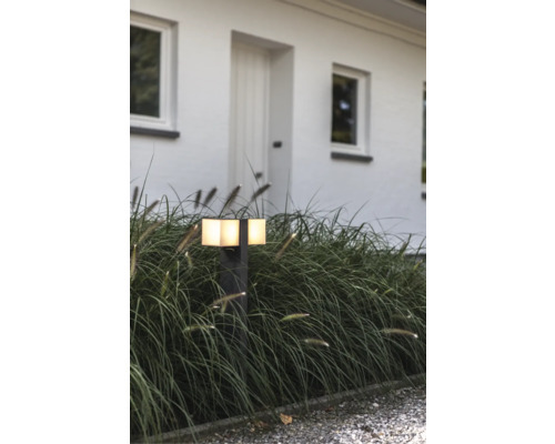 Lumină exterioară iluminată lângă casă și spațiu verde