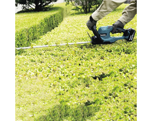 Persoană tăind gard viu cu o foarfecă de gard viu cu acumulator Makita