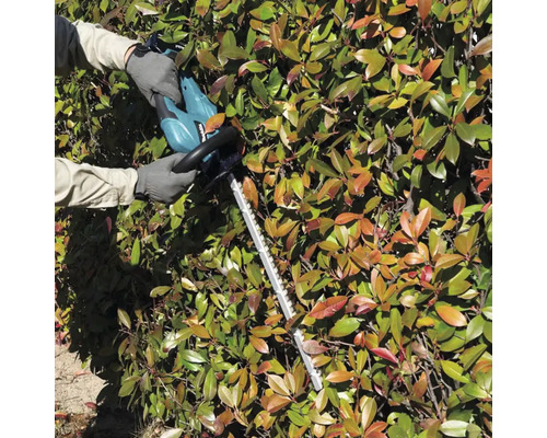 O persoană taie un gard viu cu o foarfecă de gard viu.