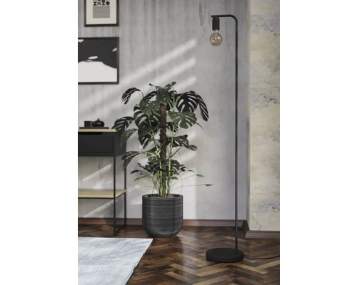 Scenă de interior cu lampă de podea, plantă și raft