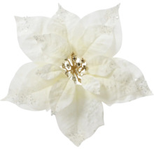 Floare decorativă albă de Crăciun, tip stea