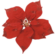 Floare decorativă roșie Crăciuniță