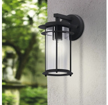 Lumină de perete exterioară neagră cu cilindru transparent