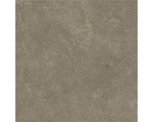 Placă ceramică cu aspect de piatră