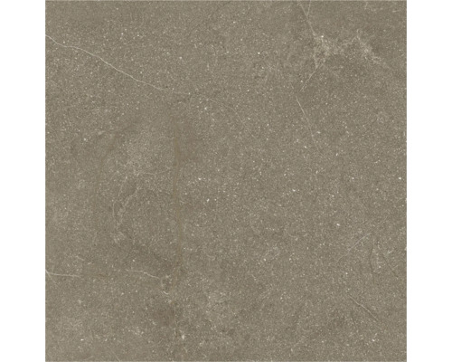 Placă de podea pătrată din gresie porțelanată cu suprafață mată.