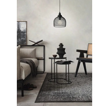 Living luminos cu covor, lampă suspendată, canapea și decorațiuni