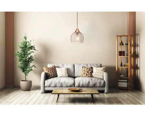 Living cu canapea, masă, plantă de interior, raft și lampă suspendată