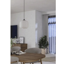Fotografie de interior a unei sufragerii cu masă de sufragerie, scaune, comodă, plantă de apartament și lampă suspendată
