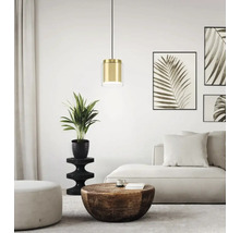 Living cu lampă suspendată, canapea, masă și plantă de apartament
