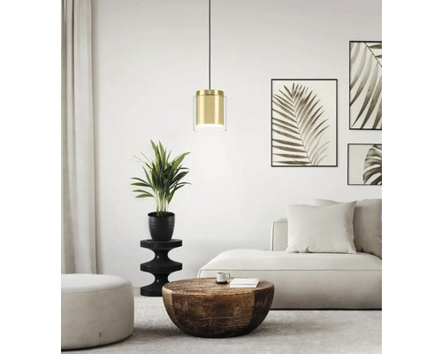 Living cu lampă suspendată, canapea, masă și plantă de apartament