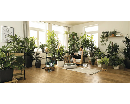 Cameră luminoasă cu numeroase plante de interior și o femeie așezată într-un fotoliu.