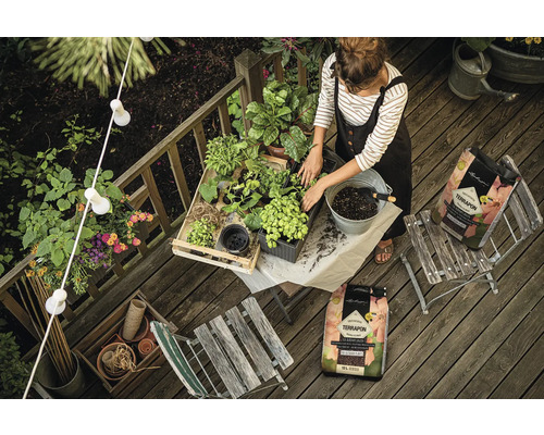 Femeie plantând plante cu pământ de flori pe un balcon din lemn