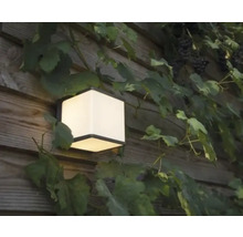 Lumină de perete exterioară pătrată pe un perete de lemn cu viță de vie