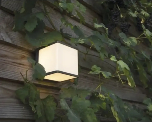 Lumină de perete exterioară pătrată pe un perete de lemn cu viță de vie