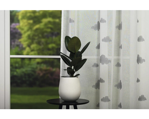 Cameră decorativă cu plantă la ghiveci, măsuță laterală și perdea cu model de nori în fața unei ferestre.